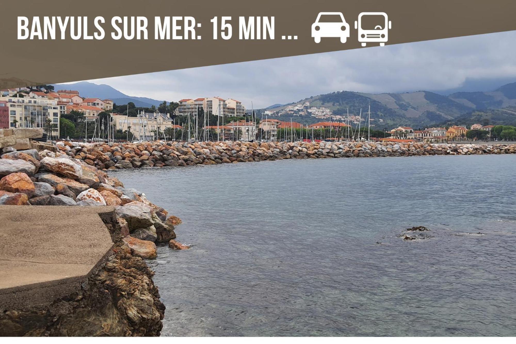 Le Belveze, Emplacement Central Et Calme Port Vendres Eksteriør billede