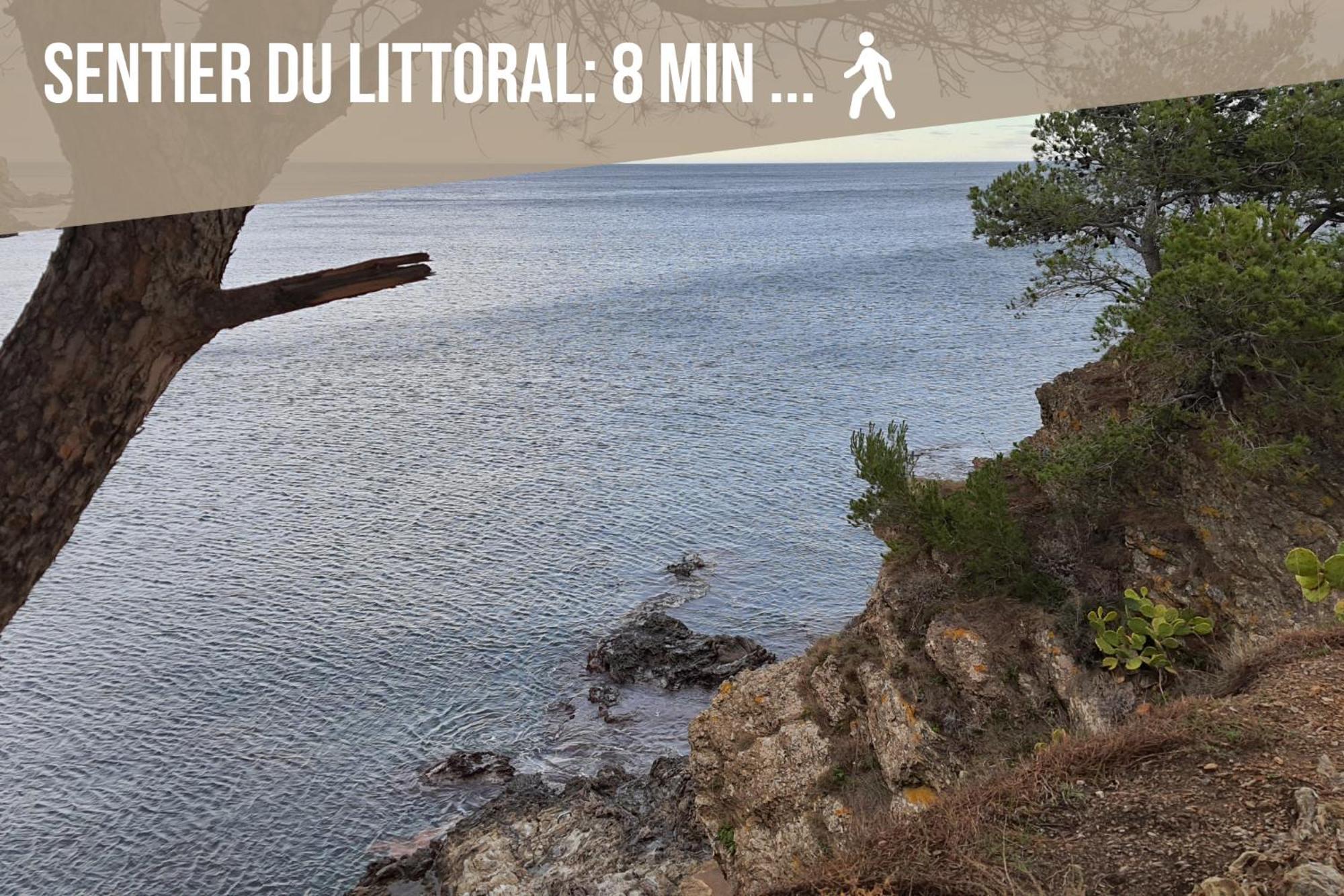 Le Belveze, Emplacement Central Et Calme Port Vendres Eksteriør billede